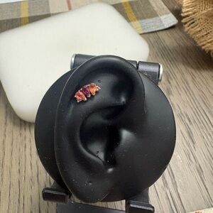 Bvla Pear panaraya 3